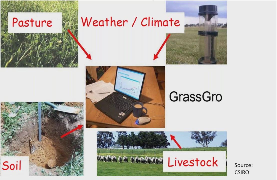Making sense of the pasture forecast
